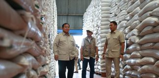 Presiden Prabowo Subianto