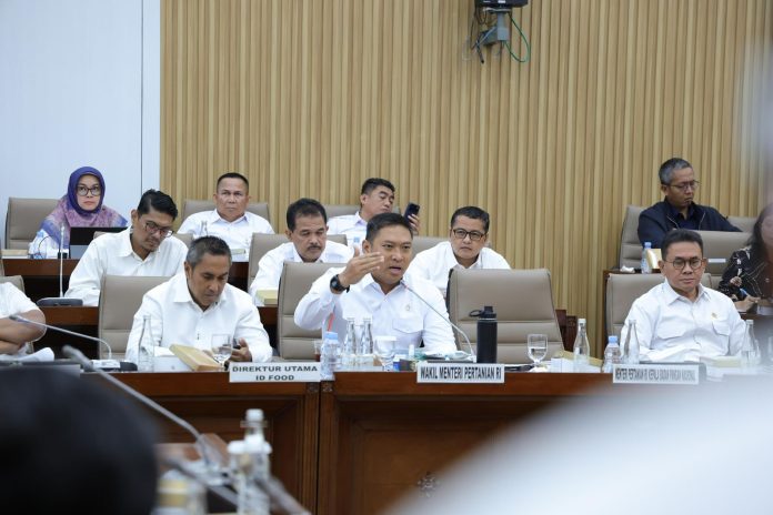 Wakil Menteri Pertanian (Wamentan), Sudaryono.