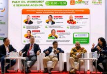 Biomasa Sawit: Sumber Energi Terbesar yang Selama Ini Terbuang