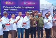 Sumber daya genetik sawit