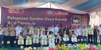 Duta Besar Tanzania untuk Indonesia, Macocha Moshe Tembele