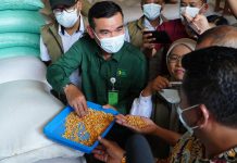 Direktur Stabilisasi Pasokan dan Harga Pangan Bapanas, Maino Dwi Hartono