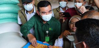 Direktur Stabilisasi Pasokan dan Harga Pangan Bapanas, Maino Dwi Hartono