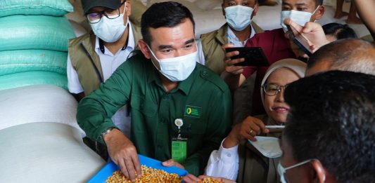 Bapanas Salurkan 116 Ton Jagung Pakan SPHP di Kota Semarang Direktur Stabilisasi Pasokan dan Harga Pangan Bapanas, Maino Dwi Hartono