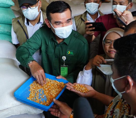 Bapanas Salurkan 116 Ton Jagung Pakan SPHP di Kota Semarang Direktur Stabilisasi Pasokan dan Harga Pangan Bapanas, Maino Dwi Hartono