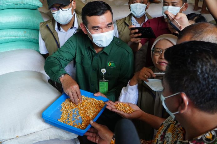 direktur-stabilisasip-asokan-harga-pangan-bapanas-maino-dwi-hartono Direktur Stabilisasi Pasokan dan Harga Pangan Bapanas, Maino Dwi Hartono