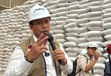 Direktur Perum Bulog, Ahmad Rizal Ramdhani