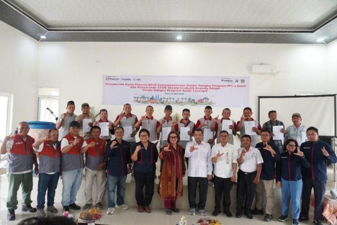 Program sawit terampil