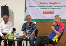 Ketua Umum Asosiasi Benih Indonesia (Asbenindo) Ayub Darmanto
