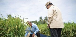 Mentan Amran Laporkan Capaian Gemilang Sektor Pertanian di Hadapan Presiden Prabowo Menteri Pertanian (Mentan), Andi Amran Sulaiman