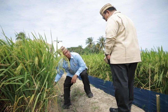 andi-amran-sulaiman Menteri Pertanian (Mentan), Andi Amran Sulaiman