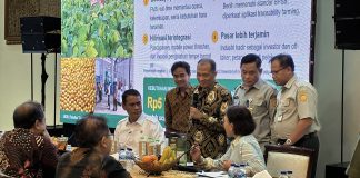 Menteri Pertanian Andi Amran Sulaiman