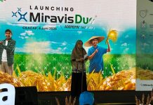 Kepala Bidang Tanaman Pangan Dinas Pertanian Kabupaten Cilacap, Cicik Setyorini,