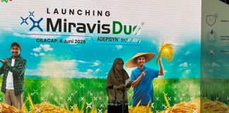 Pemkab Cilacap Dukung Peluncuran MIRAVIS Duo untuk Tingkatkan Produktivitas Padi Kepala Bidang Tanaman Pangan Dinas Pertanian Kabupaten Cilacap, Cicik Setyorini,
