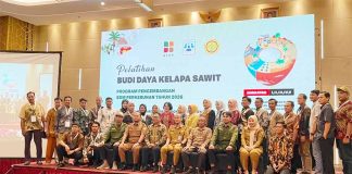 Bersama BPDP dan Ditjenbun, PT SIB Gelar Pelatihan Budidaya Pekebun Sawit di Sumsel, Dorong Peningkatan Produktivitas dan Percepatan ISPO