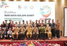 BPDP, Ditjenbun, dan PT SIB Gelar Pelatihan Budidaya Sawit bagi 30 Pekebun Sawit Banyuasin Sumsel
