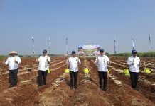 Kementan dan Pemda Pekalongan Perkuat Hilirisasi dan Swasembada Gula Nasional Gerakan tanam tebu
