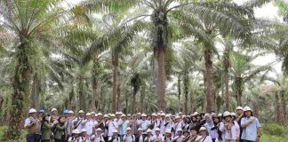 BPDP Dan PT TRIC Perkuat Kompetensi 57 Pekebun Sawit Swadaya Barito Kuala Kalsel Melalui Pelatihan Implementasi ISPO