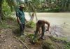 fortasbi melakukan penanaman pohon di Tamiang Aceh