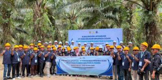 RPN, BPDP, dan Ditjenbun Dorong Panen Sesuai Standar, Nilai Jual Sawit Rakyat Muara Enim Meningkat
