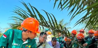 BPDP, Ditjenbun, dan PT Koompasia Selenggarakan Pelatihan Budidaya Kelapa Sawit Berstandar Tinggi, 90 Pekebun Aceh Singkil Siap Tingkatkan Produktivitas