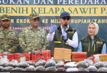 Barantin Gagalkan 75.992 Bibit Sawit Ilegal yang Dipasarkan Lewat Marketplace Badan Karantina Indonesia (Barantin), Abdul Kadir Karding