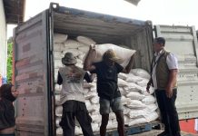Bulog akan Tingkatkan Stok Beras di Papua Jadi Tiga Kali Lipat Direktur Perum Bulog, Ahmad Rizal Ramdhani