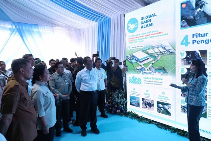 andi-amran-sulaiman-el nino Menteri Pertanian (Mentan), Andi Amran Sulaiman