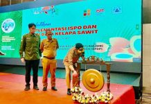 SDM Pekebun Jadi Kunci Masa Depan Sawit Berkelanjutan, BPDP, Ditjenbun Gelar Pelatihan Pekebun