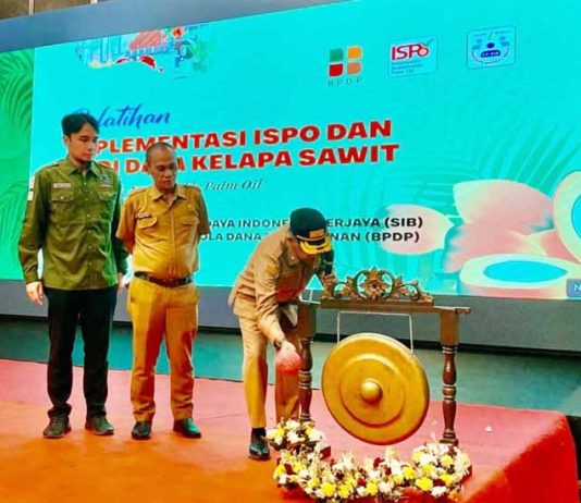 SDM Pekebun Jadi Kunci Masa Depan Sawit Berkelanjutan, BPDP, Ditjenbun Gelar Pelatihan Pekebun