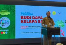 Dorong Produktivitas Sawit, BPDP, Ditjenbun dan PT SIB Gelar Pelatihan Pekebun Bengkalis Riau