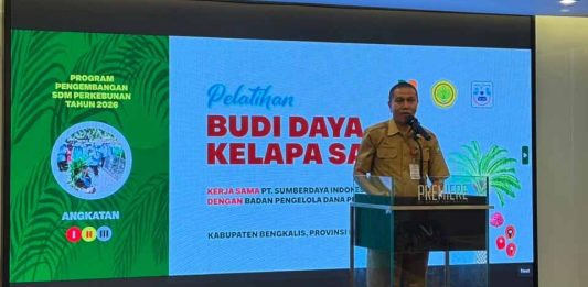 Dorong Produktivitas Sawit, BPDP, Ditjenbun dan PT SIB Gelar Pelatihan Pekebun Bengkalis Riau