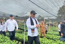 Mentan Amran Genjot Kopi Gayo, Targetkan Nilai Ekspor Tembus Rp100 Triliun Menteri Pertanian (Mentan), Andi Amran Sulaiman