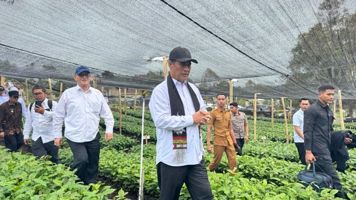mentan-amran-sidak-kopi-gayo Menteri Pertanian (Mentan), Andi Amran Sulaiman