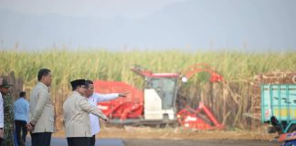 Setelah B50, Prabowo Targetkan Pembangunan 30 hingga 50 Pabrik Bioetanol Menteri Pertanian (Mentan), Andi Amran Sulaiman