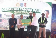 Mentan Amran Gelontorkan Rp 1,3 Triliun untuk Peningkatan Produktivitas dan Kesejahteraan Petani Papua Menteri Pertanian (Mentan), Andi Amran Sulaiman