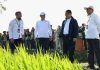 PM-AAS Jadi Strategi Mentan Amran Tingkatkan Kesejahteraan Petani Menteri Pertanian (Mentan) Andi Amran Sulaiman