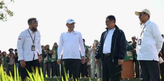 PM-AAS Jadi Strategi Mentan Amran Tingkatkan Kesejahteraan Petani Menteri Pertanian (Mentan) Andi Amran Sulaiman