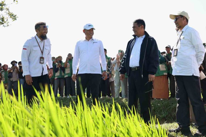 menteri-pertanian-andi-amran-sulaiman-pm-aas Menteri Pertanian (Mentan) Andi Amran Sulaiman