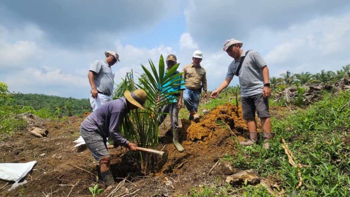 sinar-mas-psr Tim Sinar Mas Agribusiness and Food