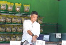 Badan Pangan Nasional