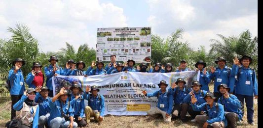 Kolaborasi BPDP, Ditjenbun, dan IPB Training Perkuat Kompetensi Pekebun Sawit Rakyat di Musi Rawas