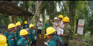Kolaborasi Penguatan SDM Pekebun, BPDP–Ditjenbun dan Koompasia Dorong Kesiapan ISPO di Aceh Singkil