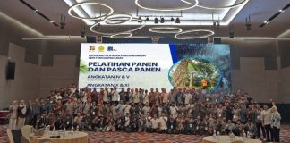 TBS Melimpah Belum Cukup, Cara Panen Menentukan Nilai Sawit Rakyat