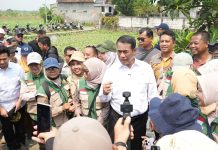 Mentan Amran Bakal Rombak Aturan agar Buruh Tani Dapat Bantuan Menteri Pertanian (Mentan), Andi Amran Sulaiman