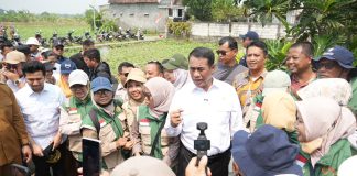 Mentan Amran Bakal Rombak Aturan agar Buruh Tani Dapat Bantuan Menteri Pertanian (Mentan), Andi Amran Sulaiman