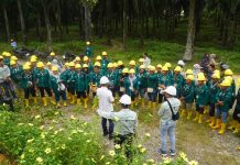 Belum Berhenti; Koompasia Bersama BPDP, Ditjenbun Perkuat Kompetensi 60 Pekebun Aceh Singkil melalui Pelatihan Budidaya Kelapa Sawit