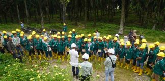 Belum Berhenti; Koompasia Bersama BPDP, Ditjenbun Perkuat Kompetensi 60 Pekebun Aceh Singkil melalui Pelatihan Budidaya Kelapa Sawit