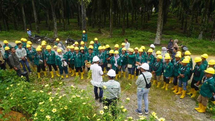 aa