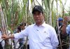 Kejar Swasembada Gula, Mentan Amran Remajaan Tebu Rakyat Tulang Bawang Menteri Pertanian (Mentan), Andi Amran Sulaiman